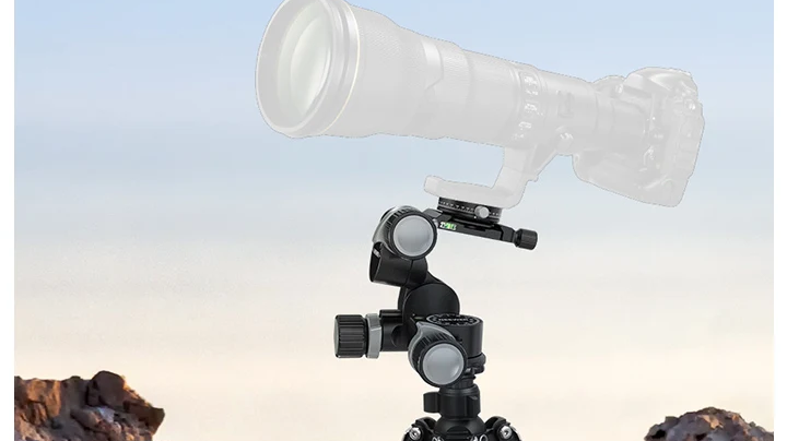 What Tripod Head Do You Need for Your Photography?