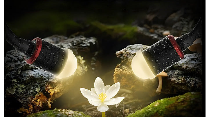 The Ultimate Guide to Macro Photography for Beginners in 2026