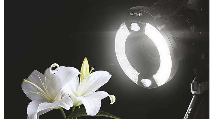 Macro Photography Equipment Guide: What Do You Really Need