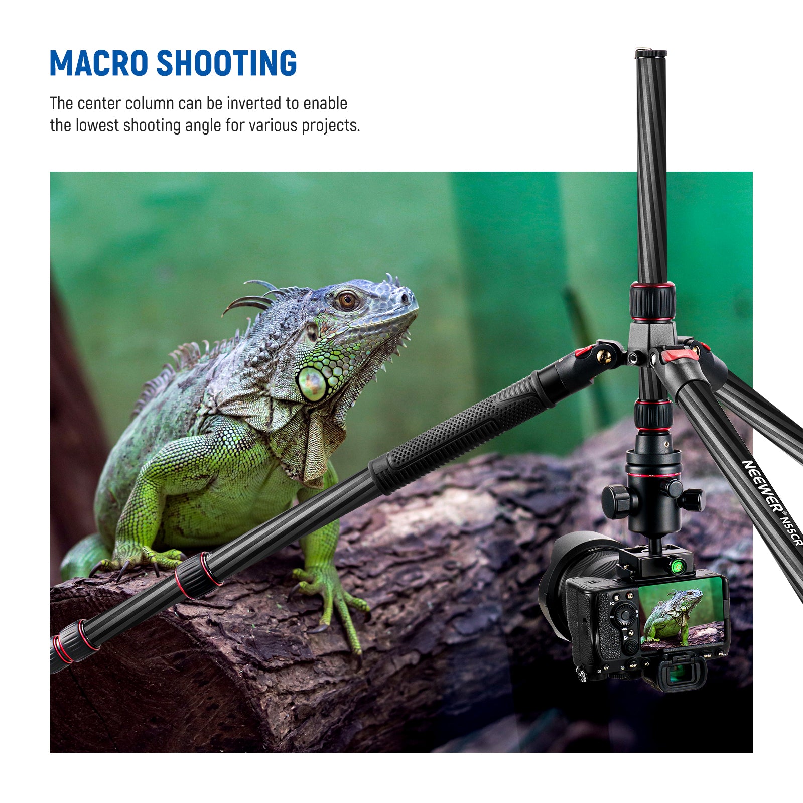 NEEWER N55CR Carbon Fiber Tripod is suitable for macro shooting.
