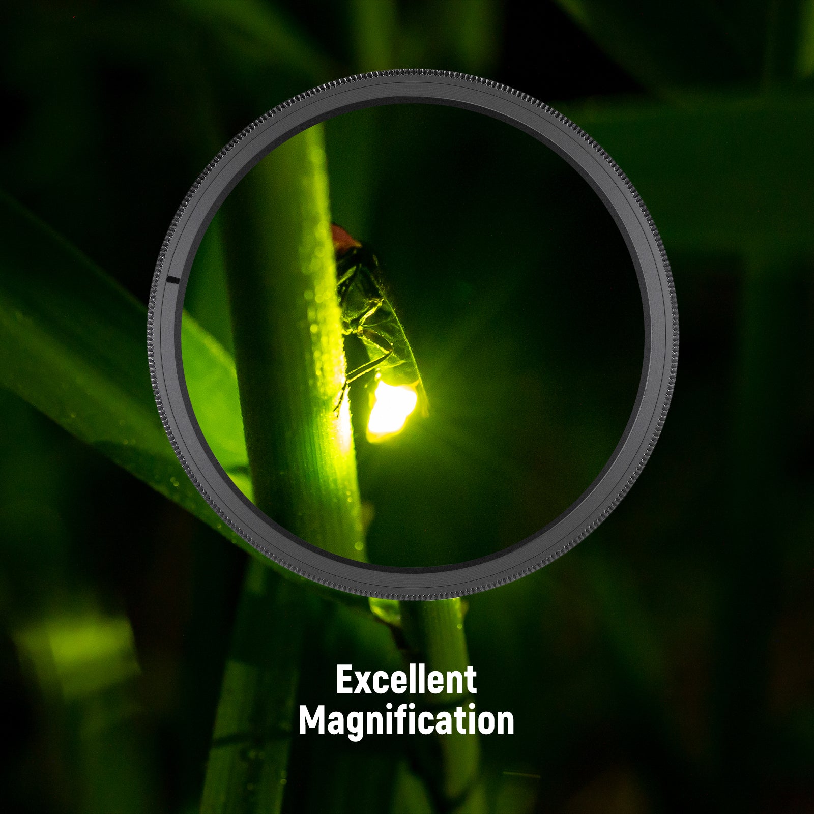 These ø58mm close-up filters can magnify the image by reducing the lens' minimal focal distance.