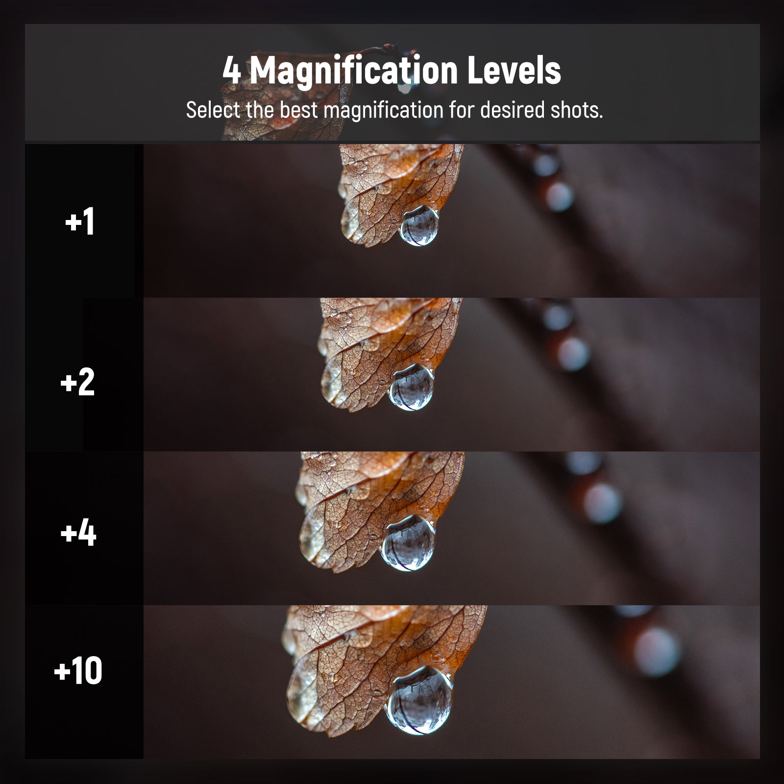 Four close-up filters offer +1, +2, +4, and +10 diopter strength for different magnification levels
