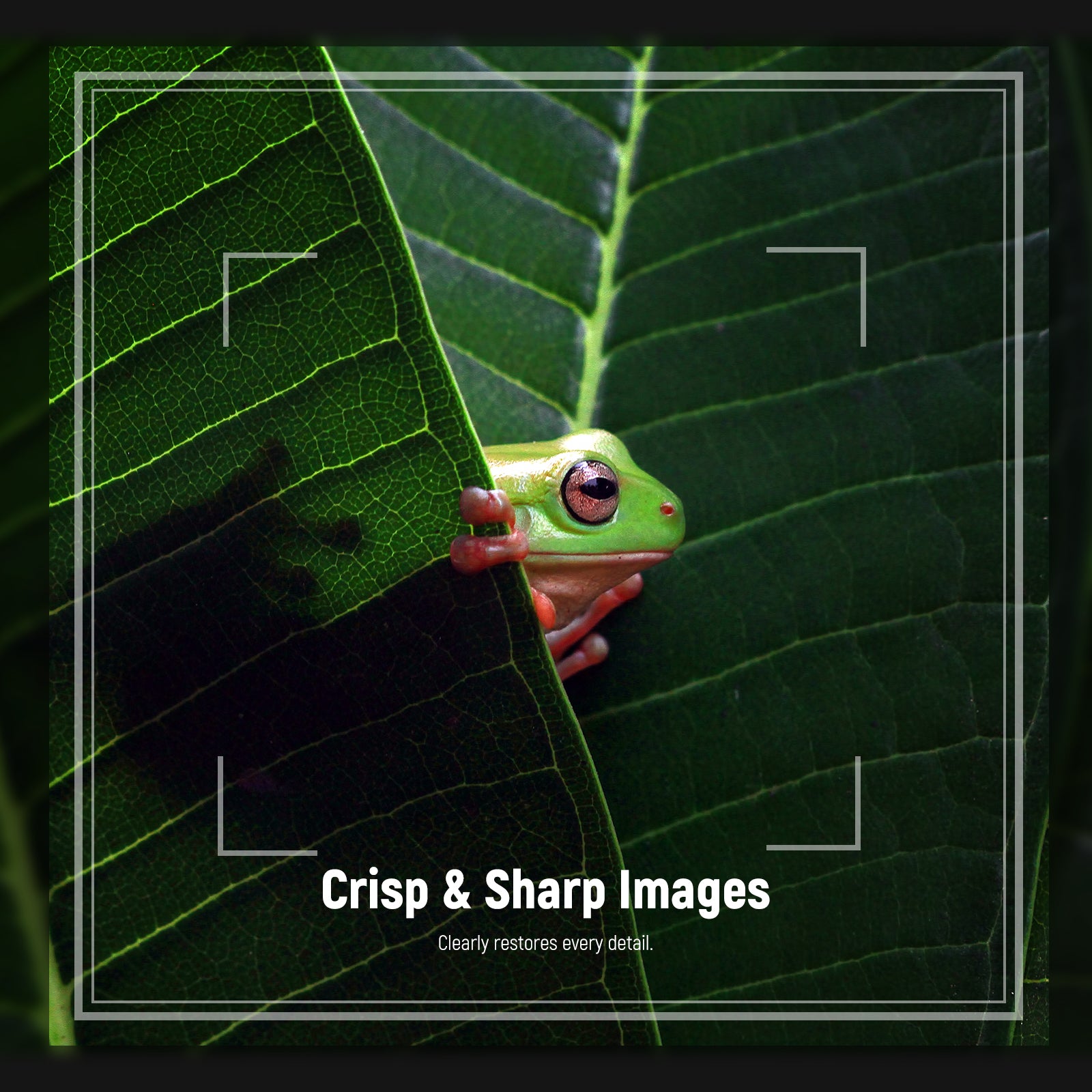 The NEEWER Close-Up Filter enables the capture of crisp and sharp images.