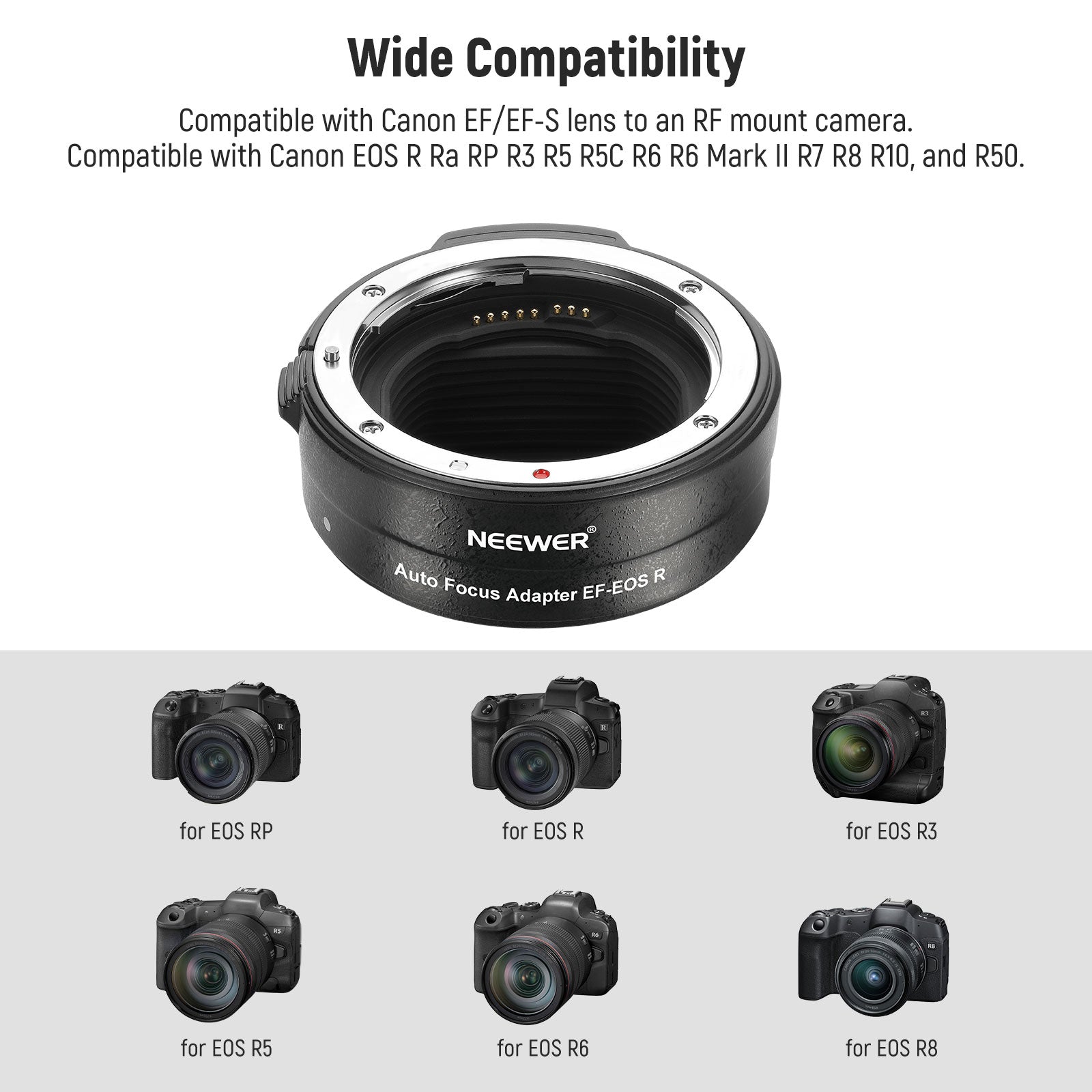 Wide Compatibility of the NEEWER EF to EOS R Mount Adapter