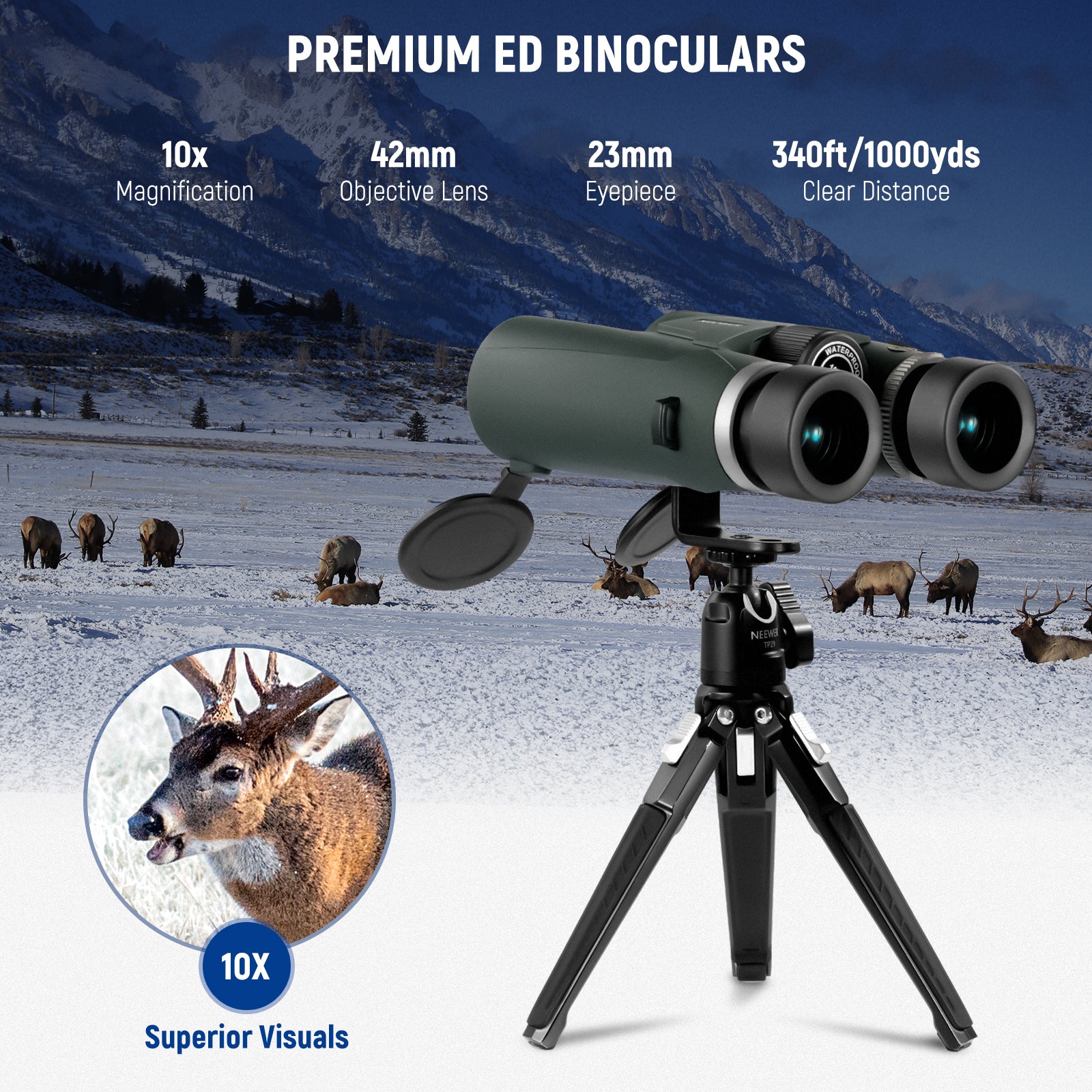 Premium 10x42 Binoculars with ED Glass