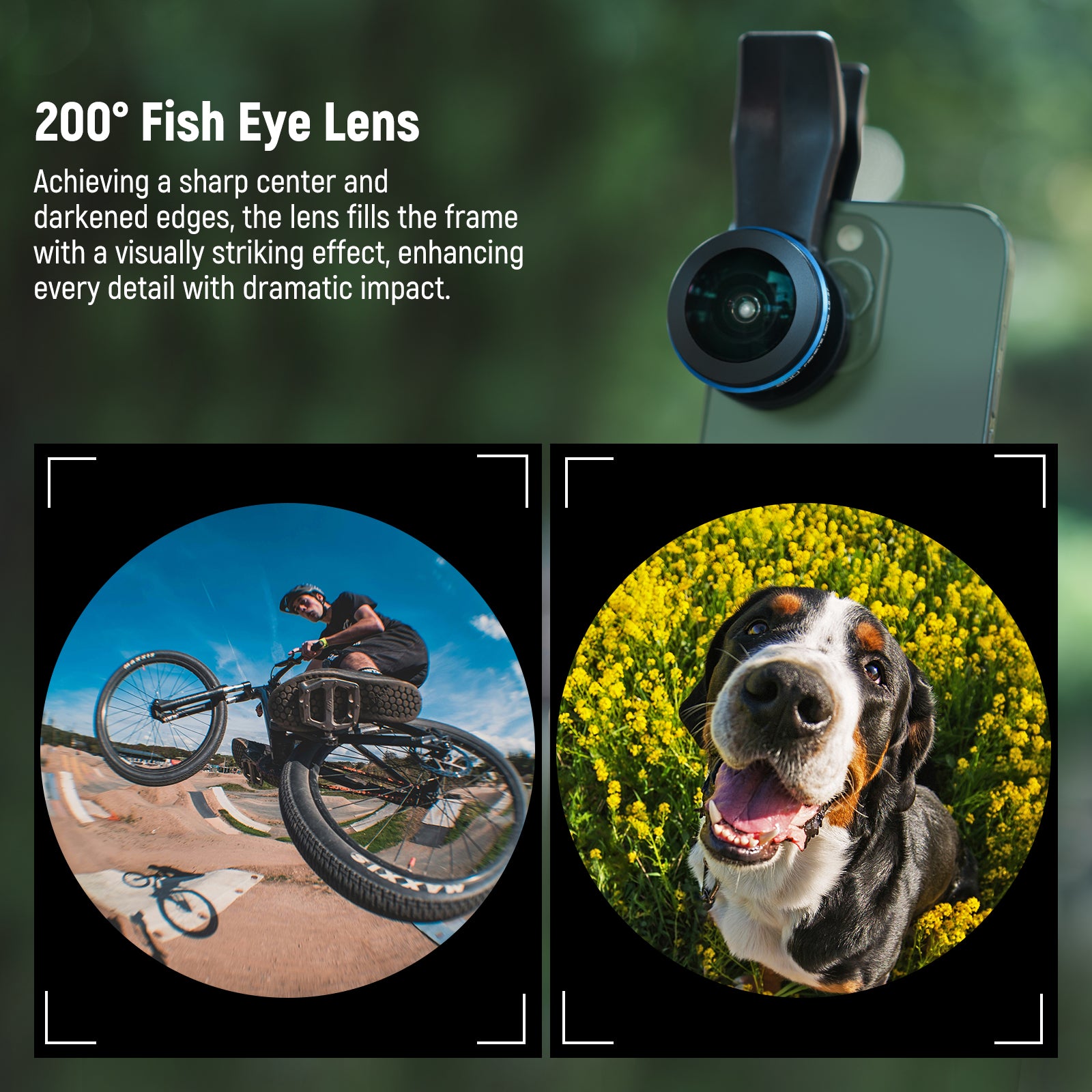 NEEWER LS-57 200° Phone Fish Eye Lens fills the frame with a visually striking effect.