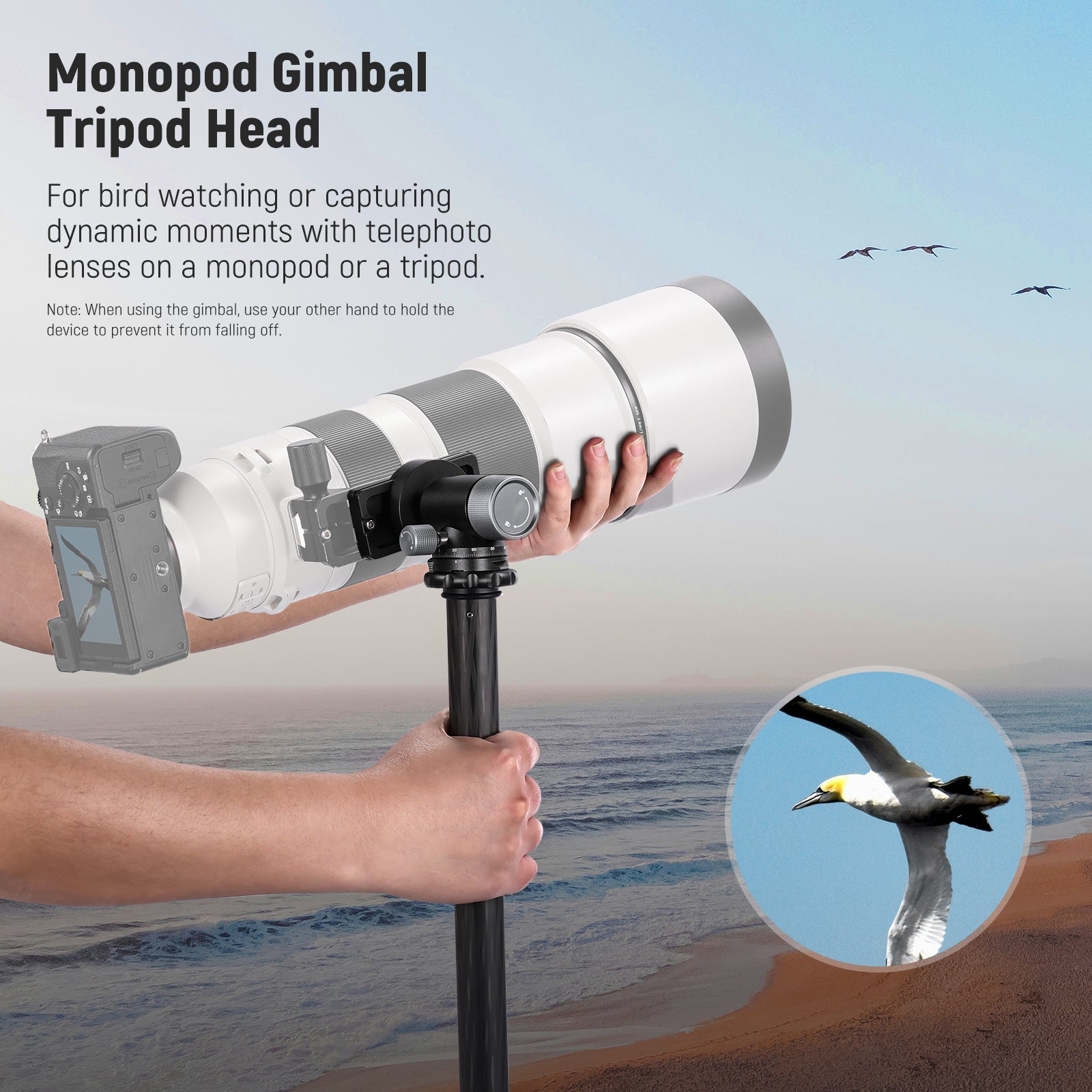 NEEWER GM39 Gimbal Tripod Head is ideal for bird watching.