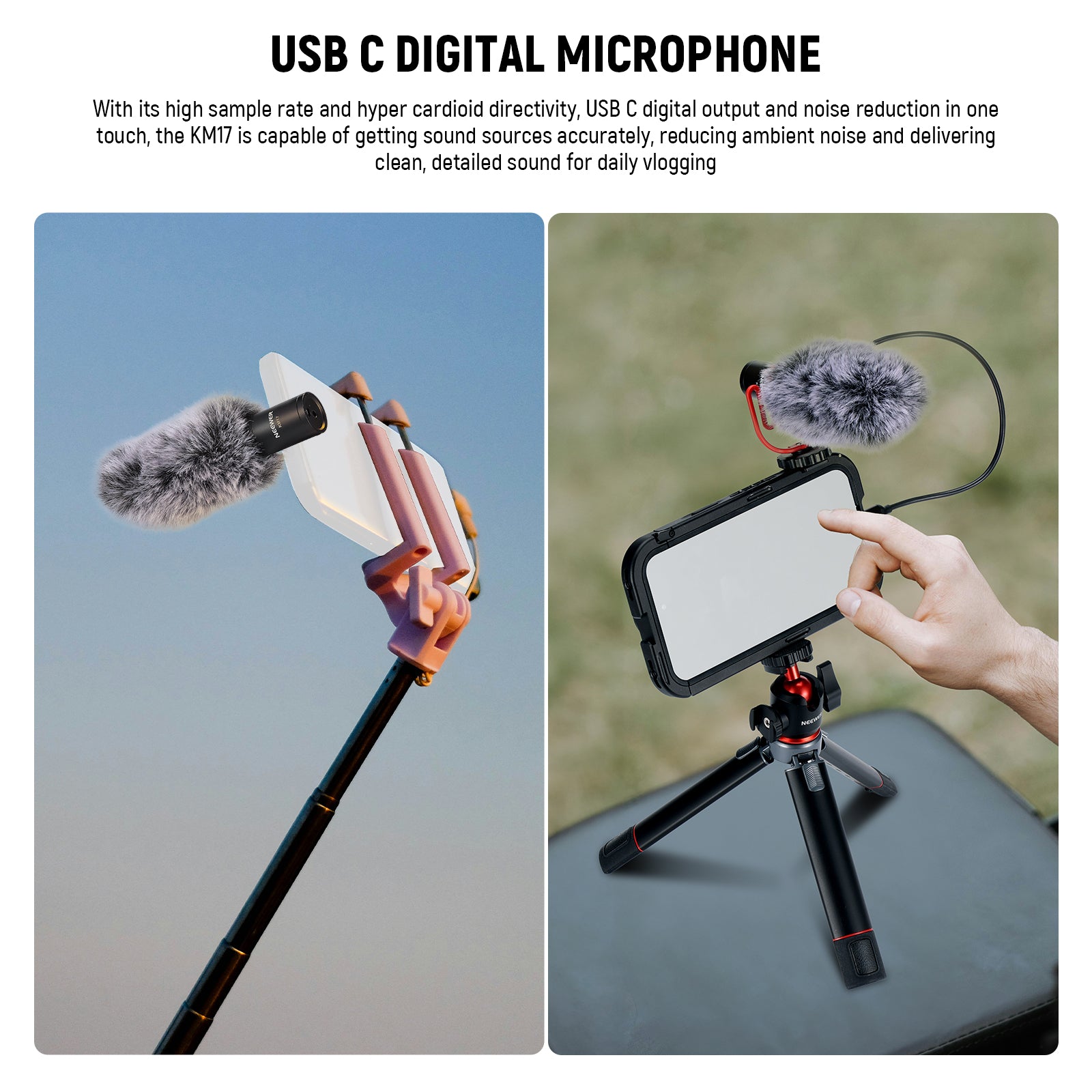 USB C digital Microphone