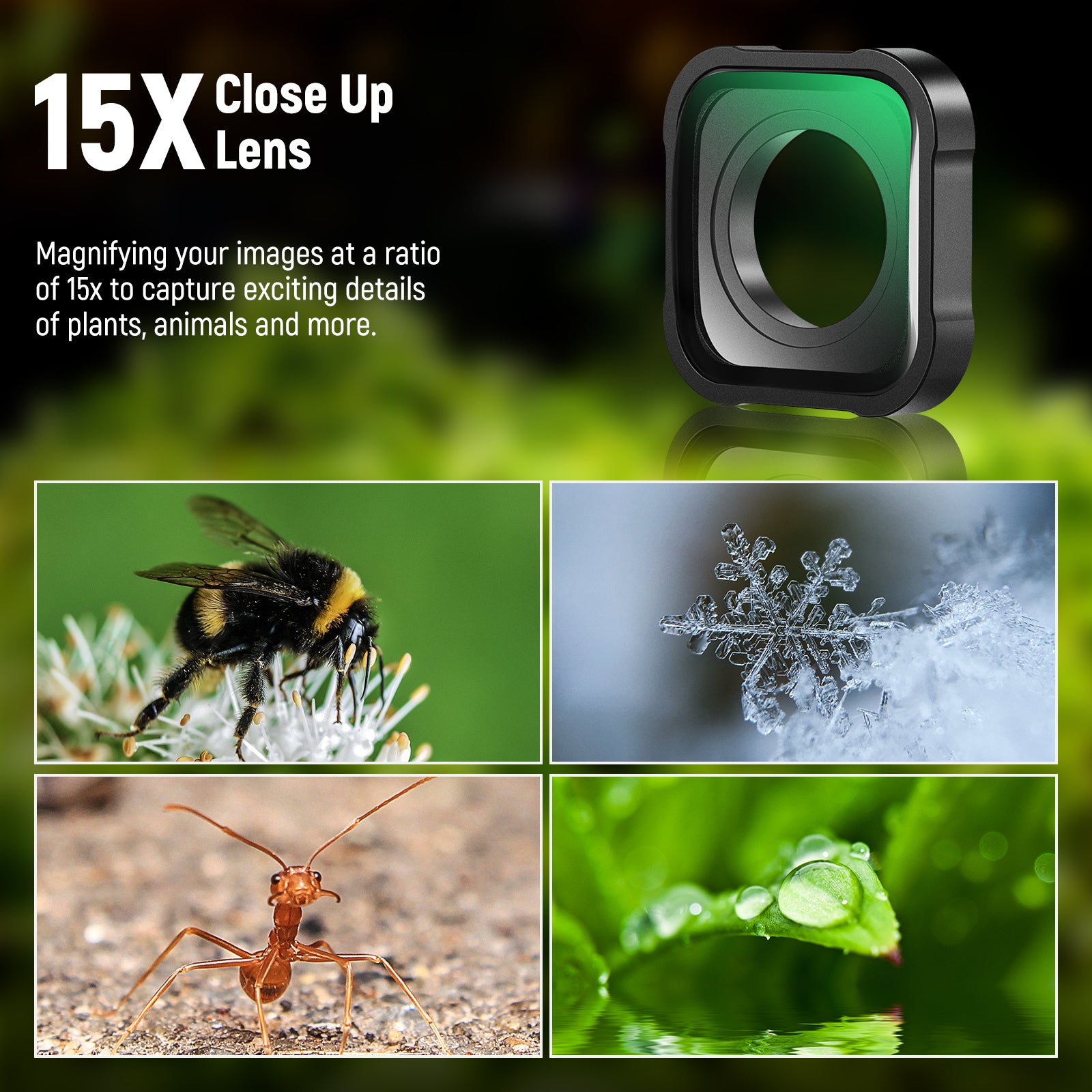 NEEWER LS-31 15X Macro Lens helps you capture exciting details