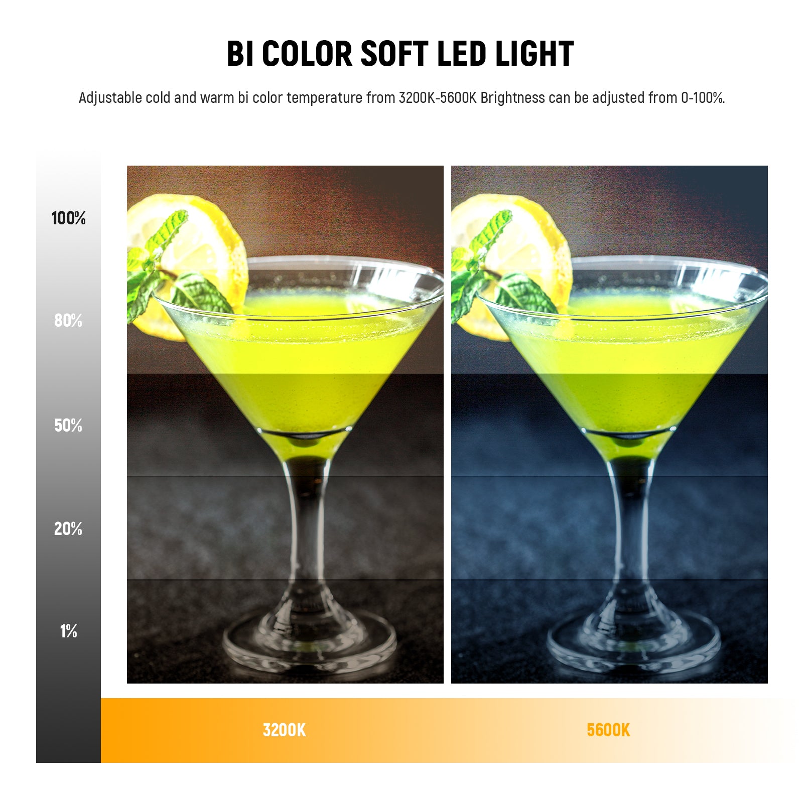 NEEWER NL-116AI Bi-Color Soft LED Light