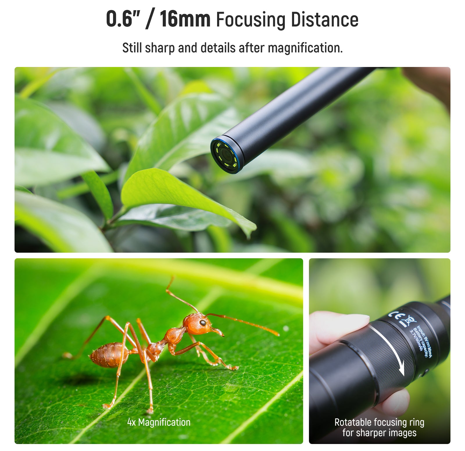 16mm focal distance offers still sharp details after magnification.