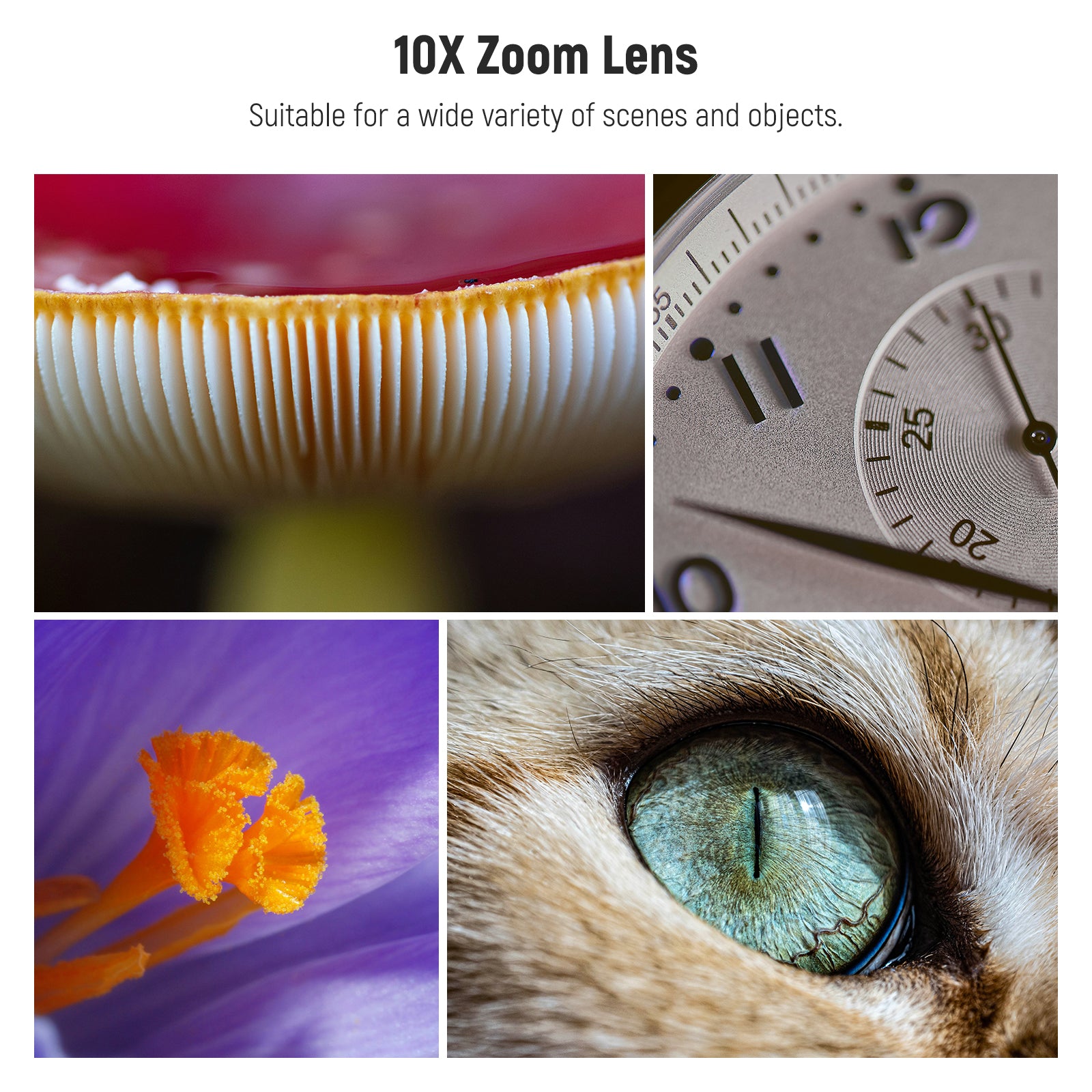 NEEWER LS-28 PRO 10X Zoom Lens is suitable for a wide variety of scenes.