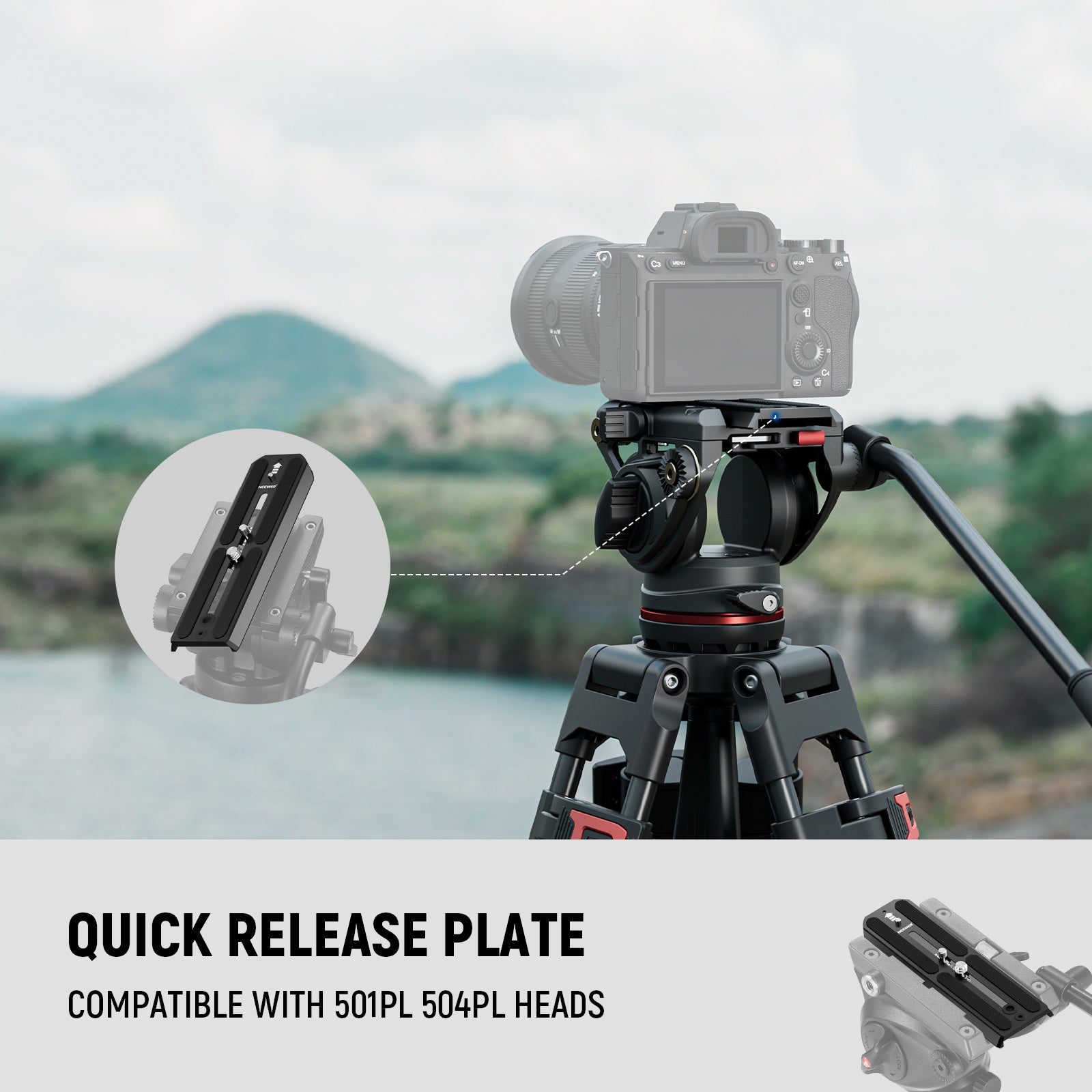 NEEWER QR6 Quick Release Plate is compatible with 501PL 504PL heads.