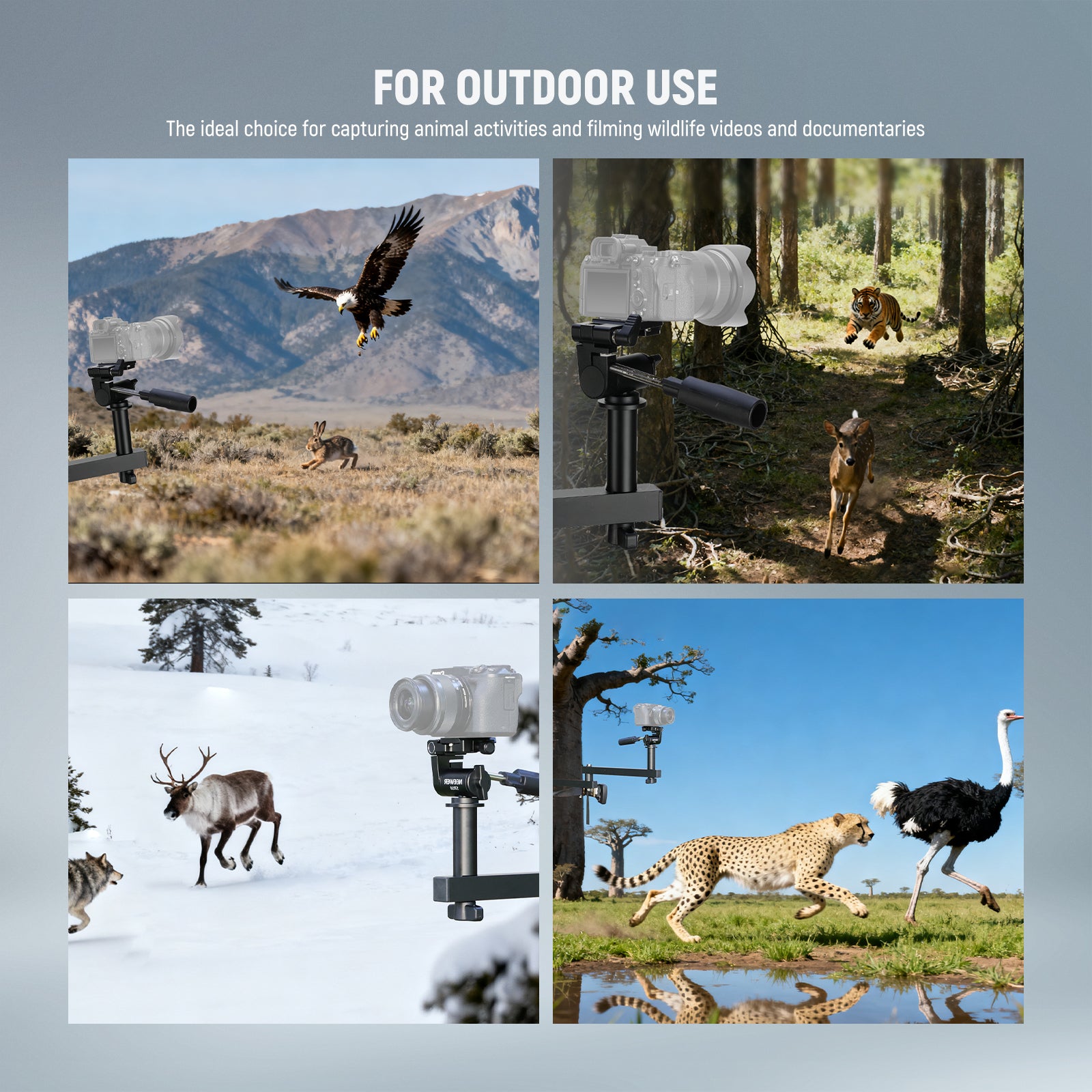 Scenarios for NEEWER ST010 24" Tree Stand Mount