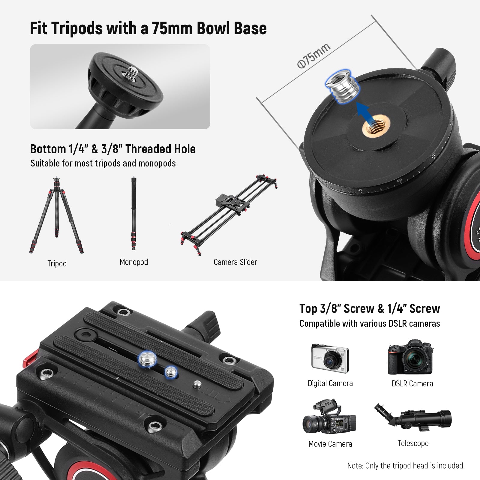 NEEWER GM002 Heavy Duty Video Tripod Fluid Head features the 1/4" and 3/8" top mounting screws