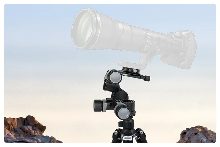 What Tripod Head Do You Need for Your Photography?