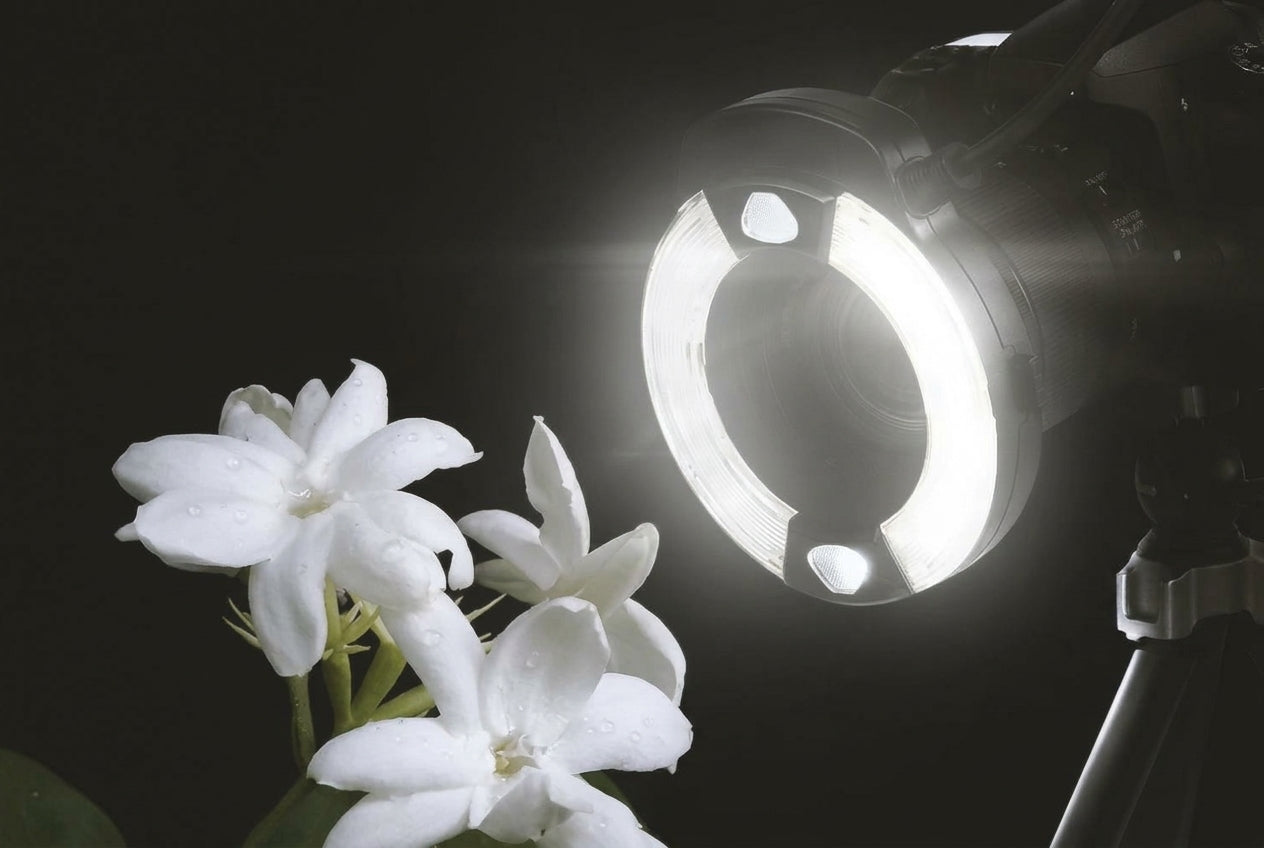 Macro Ring Flash: What to Know Before You Buy
