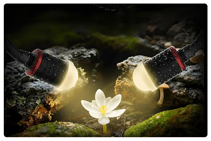 The Ultimate Guide to Macro Photography for Beginners in 2026