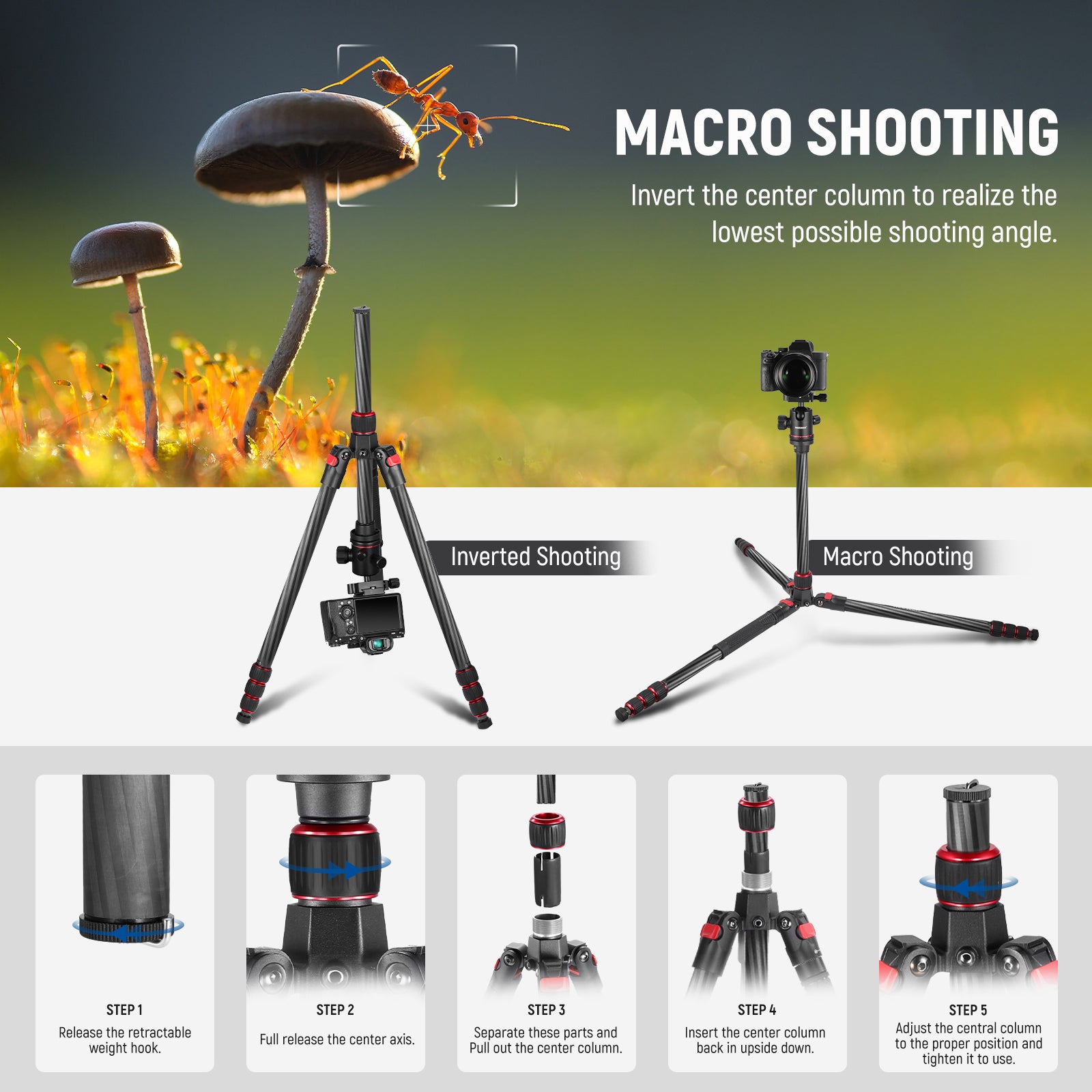NEEWER N55C Carbon Fiber Tripod is ideal for macro shooting.