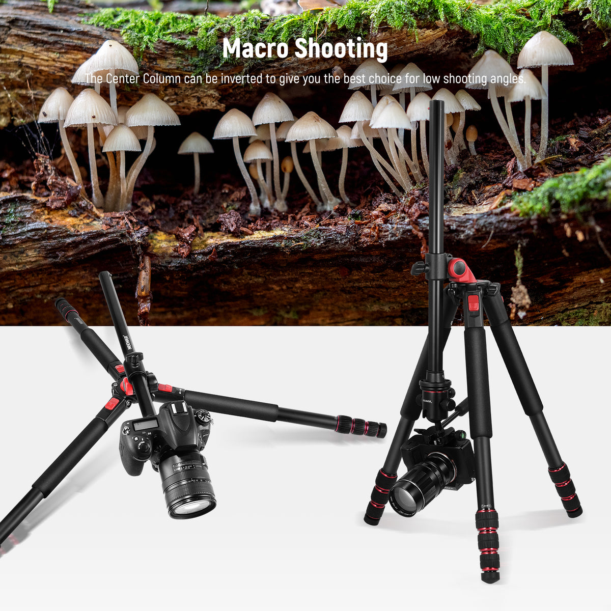 NEEWER TP27 73.6" Horizontal Tripod NEEWER