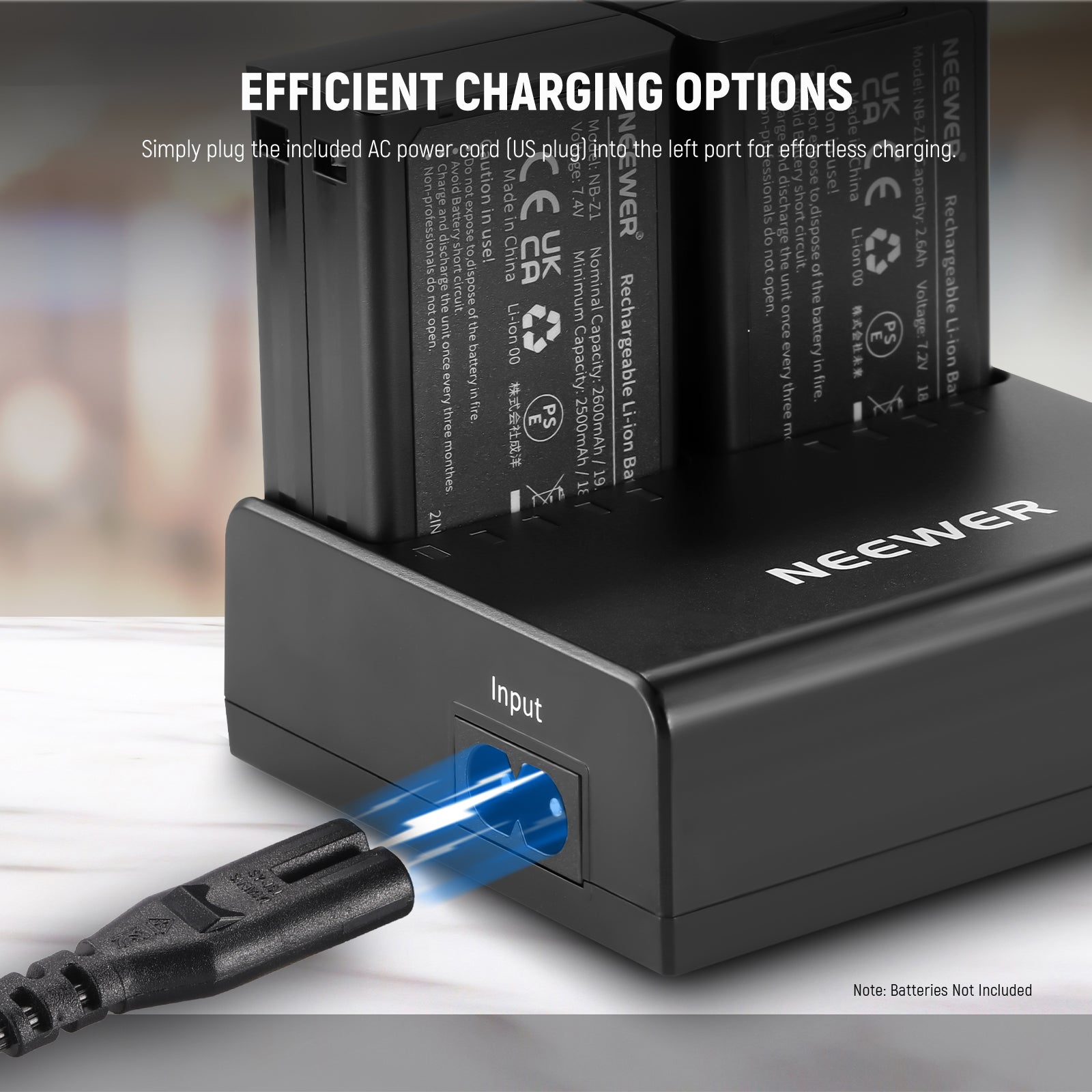 NEEWER NC2-Z1 Dual Slot Battery Charger Kit for Flashes