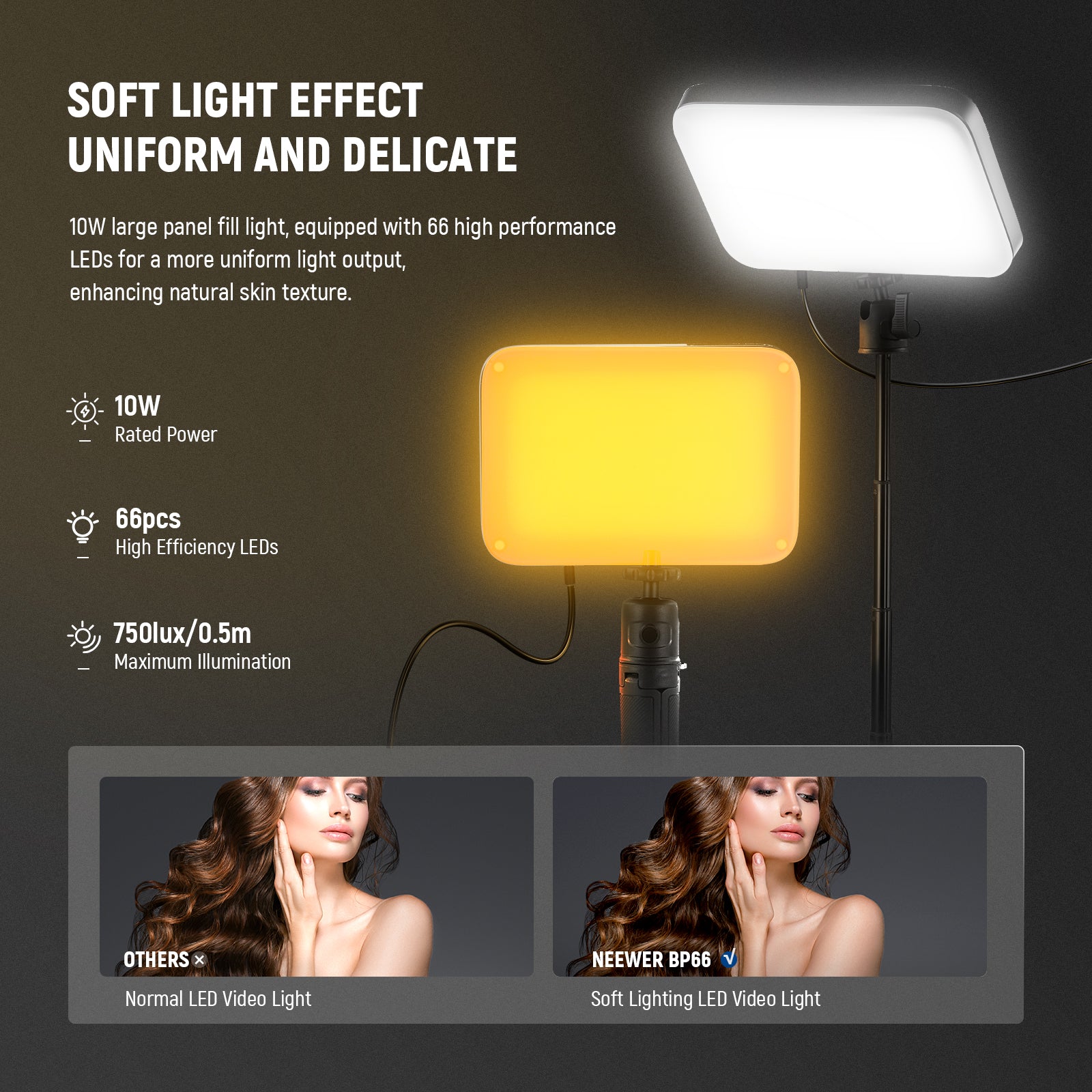 NEEWER BP66 2 Pack LED Panel Light with Mini Desk Stand