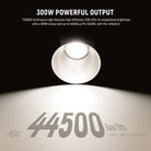 NEEWER FS300B Continuous Light features high efficiency COB LEDs for exceptional brightness.