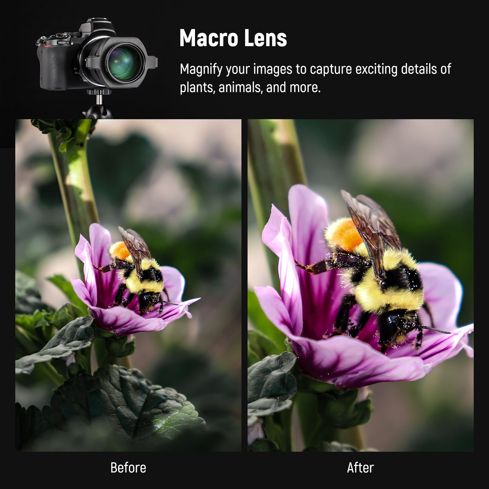 NEEWER LS-40 43mm HD Macro Lens | Macro Filter