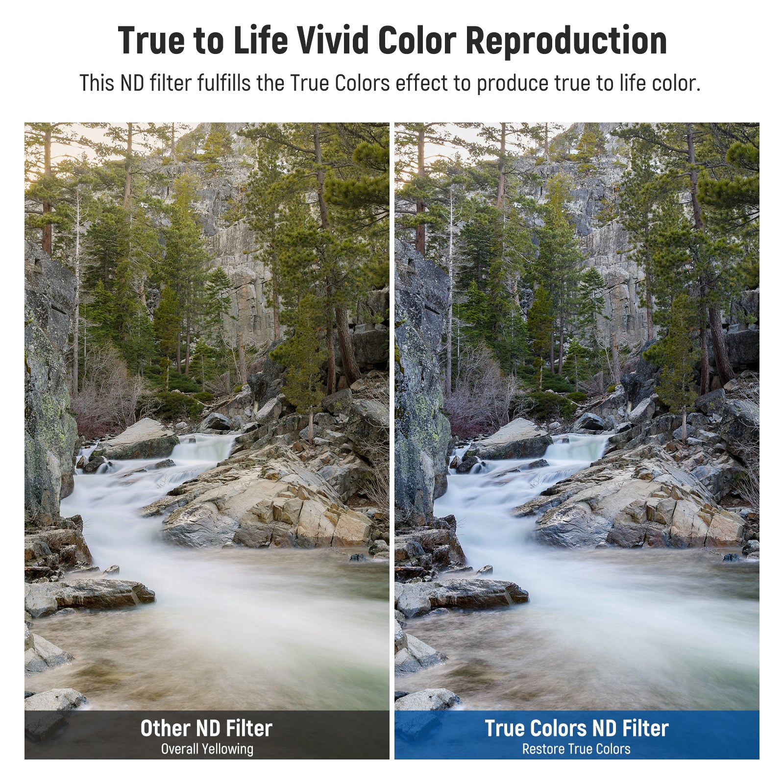 NEEWER 2-in-1 True Colors Variable ND & CPL Filter