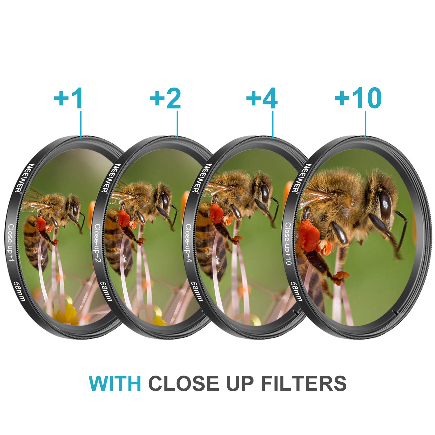 B + W 58mm +10 Macro Lens, Close Up Glass Filter - NL10 :57252180